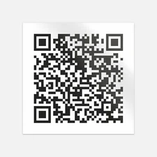 The Bad Touch QR Code Vinyl Sticker Decal