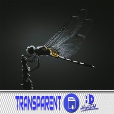 50 DRAGONFLY TRANSPARENT PNG PHOTOSHOP OVERLAYS, ISOLATED ANIMALS PNG FILES
