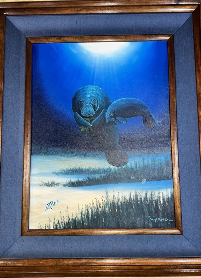 Pintura al óleo original - WYLAND - Manatíes Seacows - Marco de madera KOA - HALLAZGO RARO Foto 3 de 4
