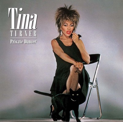 Tina Turner Private Dancer (Vinyl) 30th Anniversary  12'' Album