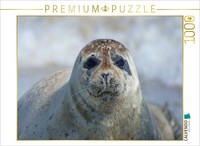 Calvendo Puzzle Robben Blick | 1000 Teile Lege-GrößE 64 × 48 Cm Foto-Puzzle FüR