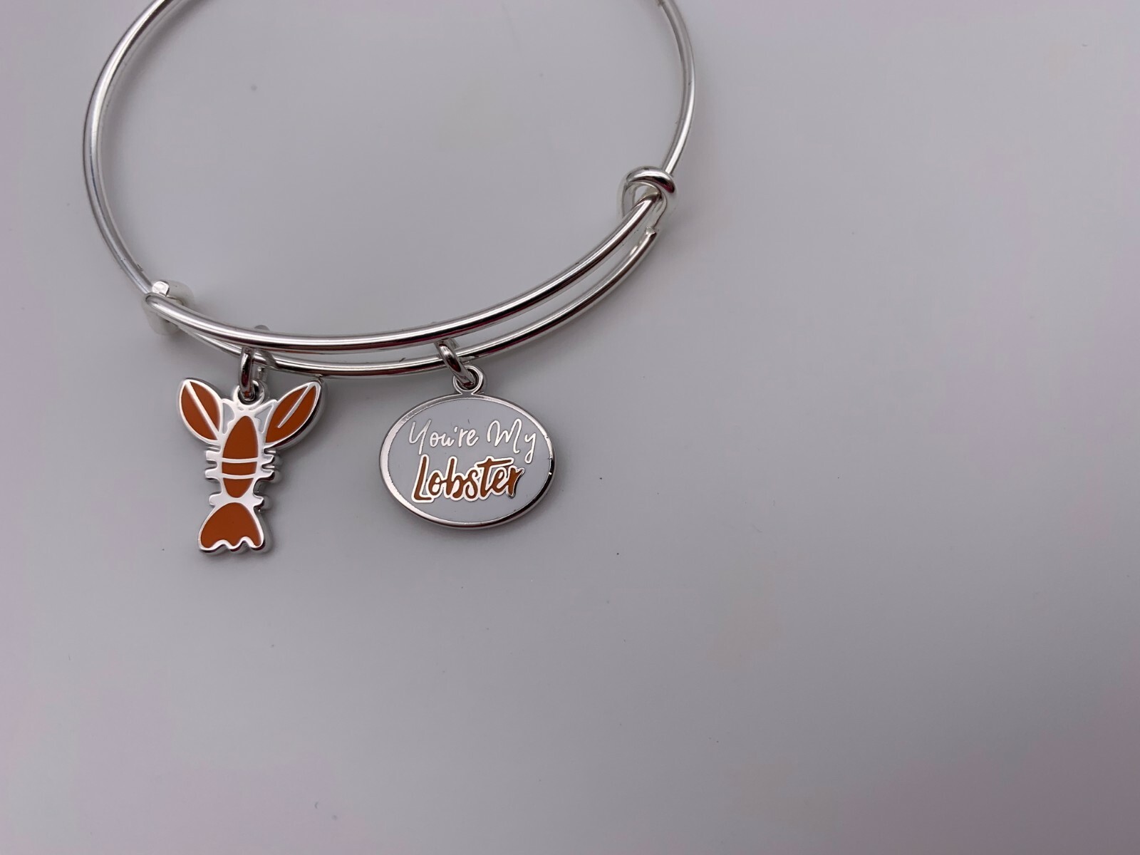 Alex And Ani Friends You Re My Lobster Charm Bracelet Shiny Silver Z39 For Sale Online Ebay