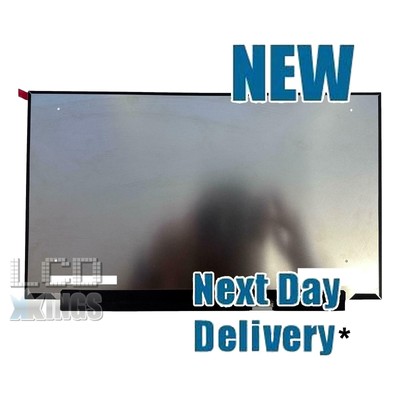 Dell Alienware M15 R7 HMH2Y 15,6'' 2560 x 1440 Laptop Bildschirm 240Hz