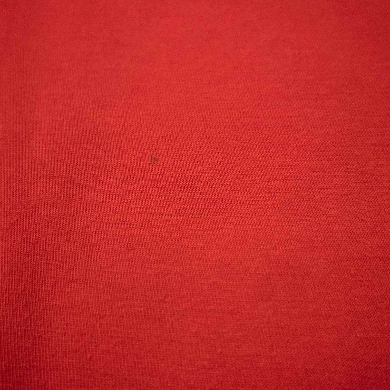 Foto 10 di 10
