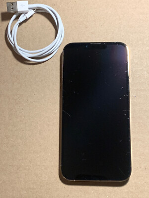 Apple iPhone 13 Pro Max - 128GB - Silver Unlocked A2484 (CDMA +