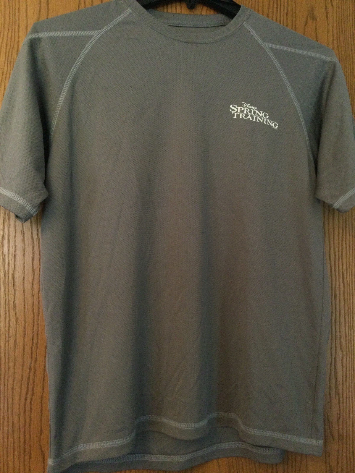 Disney Spring Training - Gray Shirt - - Champion - Polyester