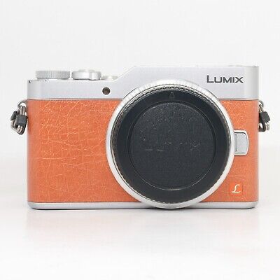 Panasonic Lumix DC-GF9 16MP Micro 4/3 4K Mirrorless Digital Camera