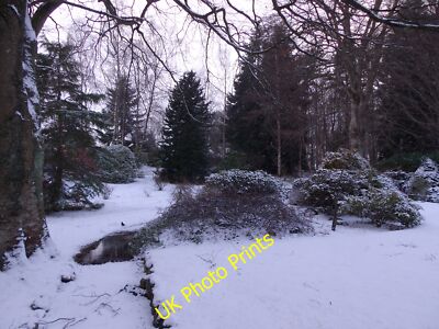 Foto 12x8 Ein Wintertag in einem Torphingarten mit einer einsamen Amsel an einem c2015