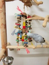 Papageien Spielzeug, Coconut Fall ,Naturholz,50 cm, über 100 Holzteile ***top***