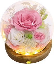 Long-Lasting Real Flowers Unique Floral Gift for All Occasions, Pink White R