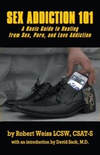 Sex Addiction 101: A Basic Guide to Healing from Sex, Porn, and ...