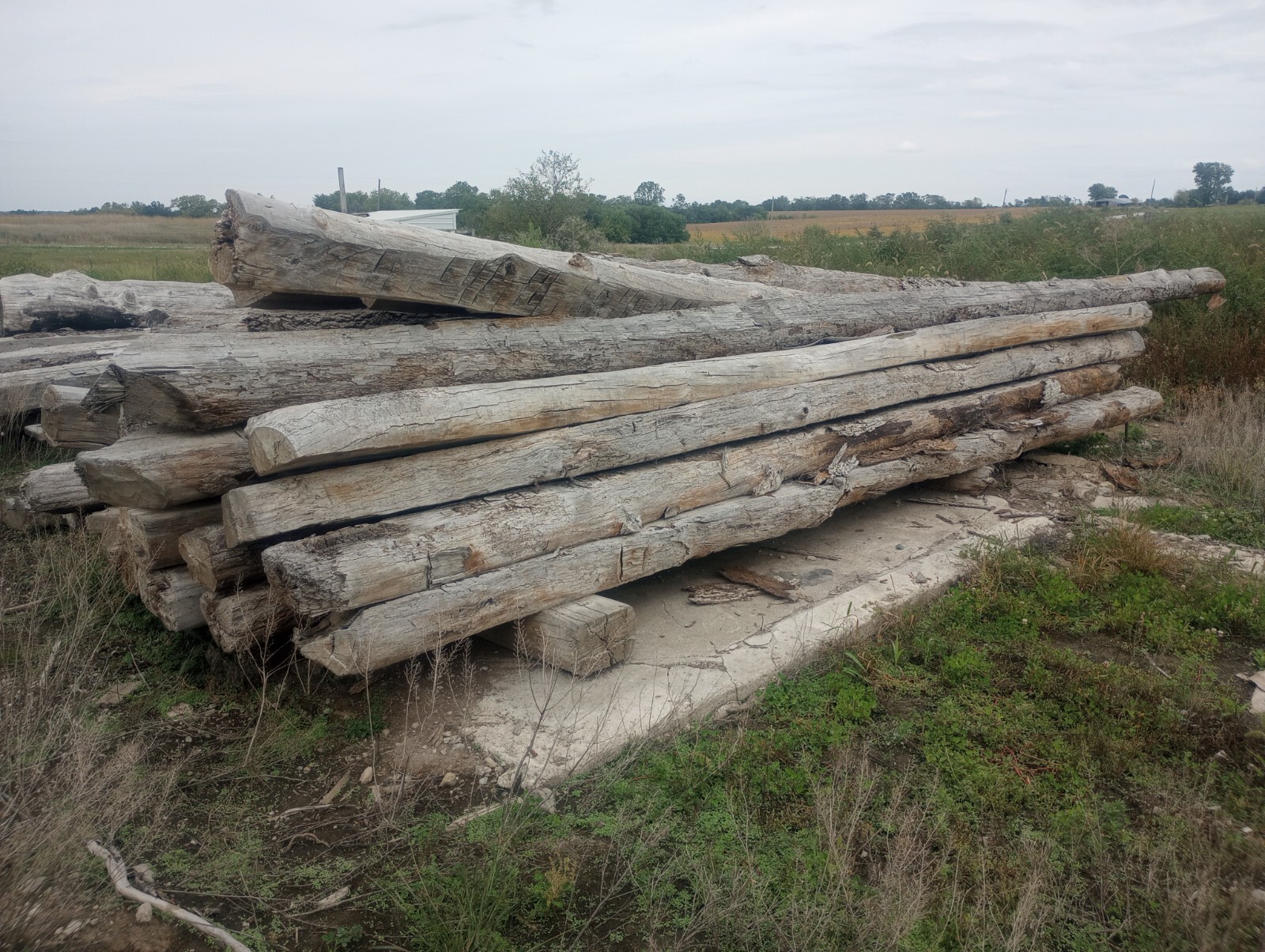 Century Old Reclaimed Barn Lumber (joists and beams)