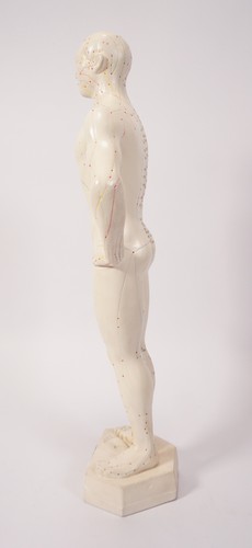 Hui Chun Chinese Acupuncture Model 51 cm Meridians Energy Pathways - 第 4/8 張圖片