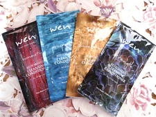 WEN Chaz Dean~HAIR CLEANSING CONDITIONER BLESSINGS~U-Choose Scent~ 2 oz Pack~