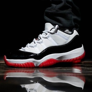 concord bred 11