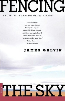 Fencing the Sky, Taschenbuch von Galvin, James, brandneu, kostenloser Versand in Großbritannien