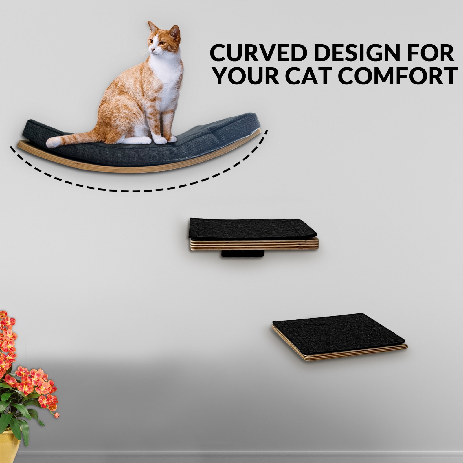 Cat Wall Shelf with Two Steps Curved Cat Shelves and Perches Wall