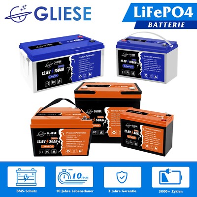 12V 100Ah 150Ah 50Ah 30Ah 20Ah 10Ah Lithium Batterie LiFePO4 Akku BMS Wohnmobil