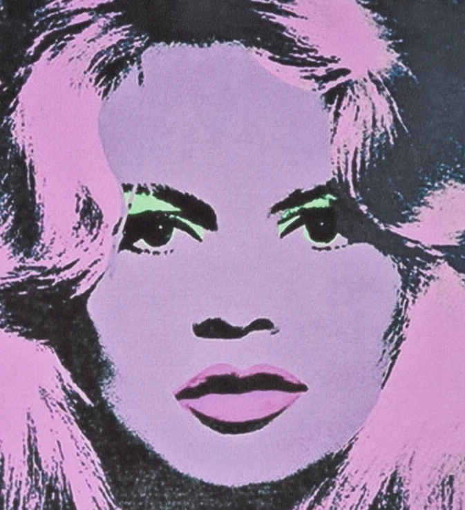 ANDY WARHOL * Brigitte Bardot * 50 x 40 cm * signed lithograph *limited # 90/200 - Bild 3 von 4