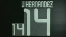 JAVIER HERNANDEZ #14 Mexico Home & Away World Cup 2010 Custom-Made Name Set