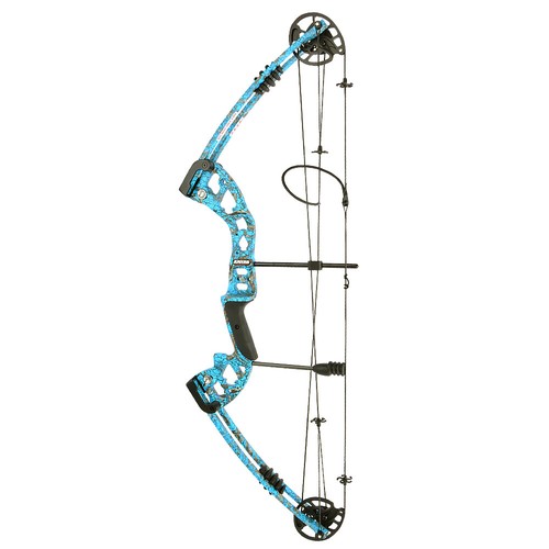 Archery Compound Bow30-55lbs Fishing Hunting Arrows Adjustable Target RH LH - Picture 10 of 27