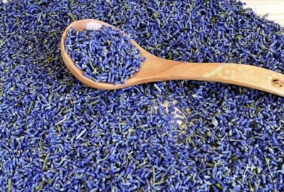 Lavendelblueten-Premium-Qualitaet-Duftintensiv-Lavendel-100-rein-ohne-Zusaetze