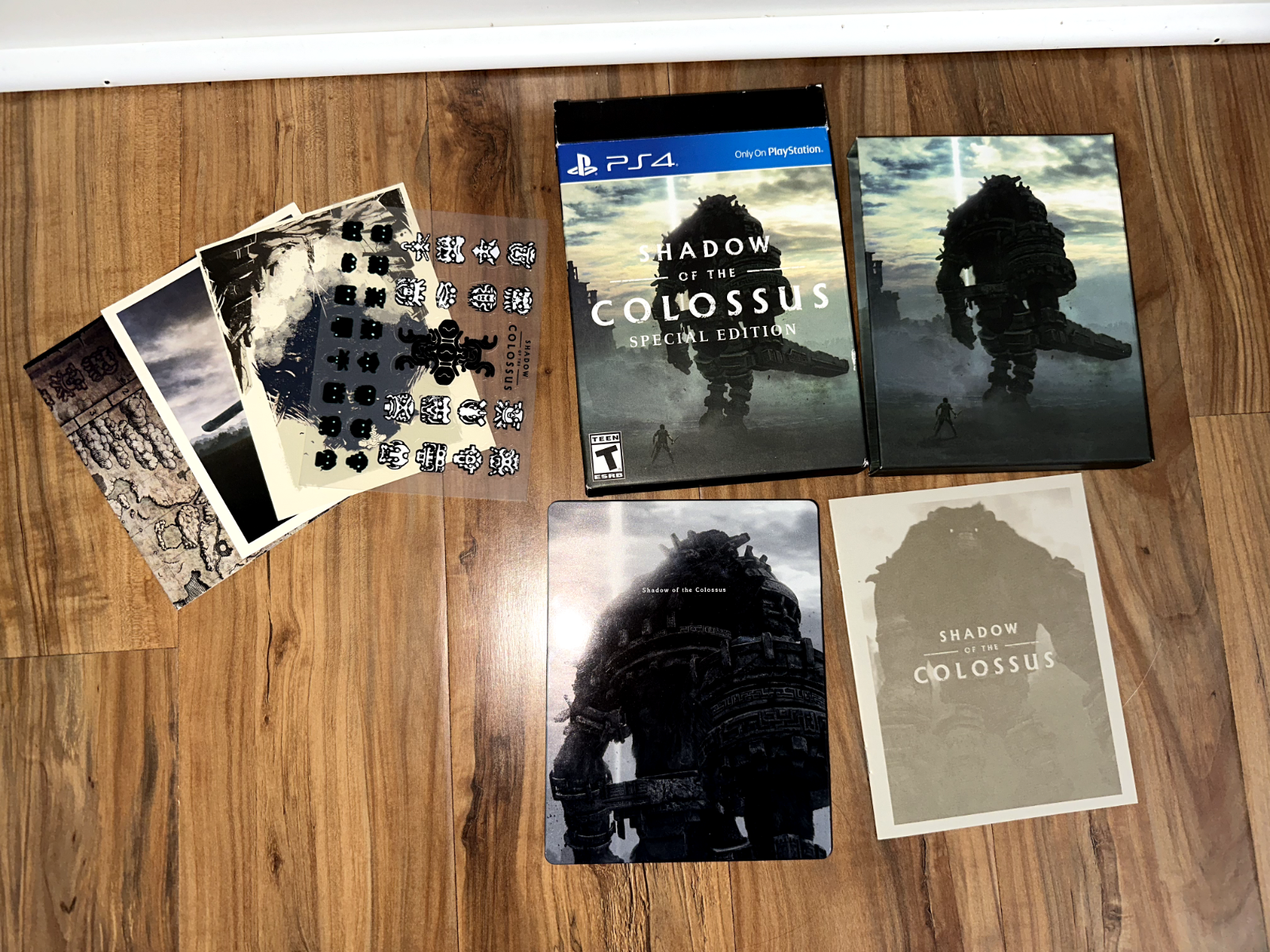 Shadow of the Colossus Custom Made Steelbook Case Only for 