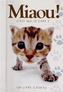 Miaou von Exley, Helen, Dormeuil, Odile | Buch | Zustand gut