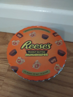 Reese's Peanut Butter Miniaturen Dose (leer)