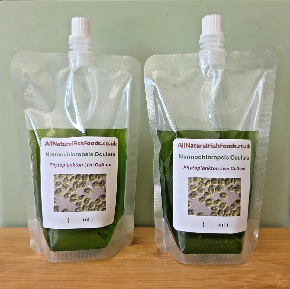 400ml Live Marine Phytoplankton - Ready to Use - Reef Aquarium Natural Food - Image 2 of 3