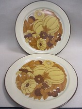 Terra Prato v. Rosenthal 2  Speiseteller 25 cm mehrere Sets verfügbar  (R2)