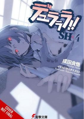 Durarara!! Sh, Vol. 4 (Light Novel) by Ryohgo Narita