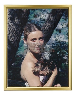 SHARON TATE WITH DOG PRUDENCE 10050 CIELO DRIVE LOS ANGEL 8X10 GOLD FRAMED PHOTO