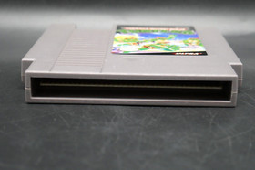 Teenage Mutant Ninja Turtles (NES, 1989) solo carrello, testato e funzionante