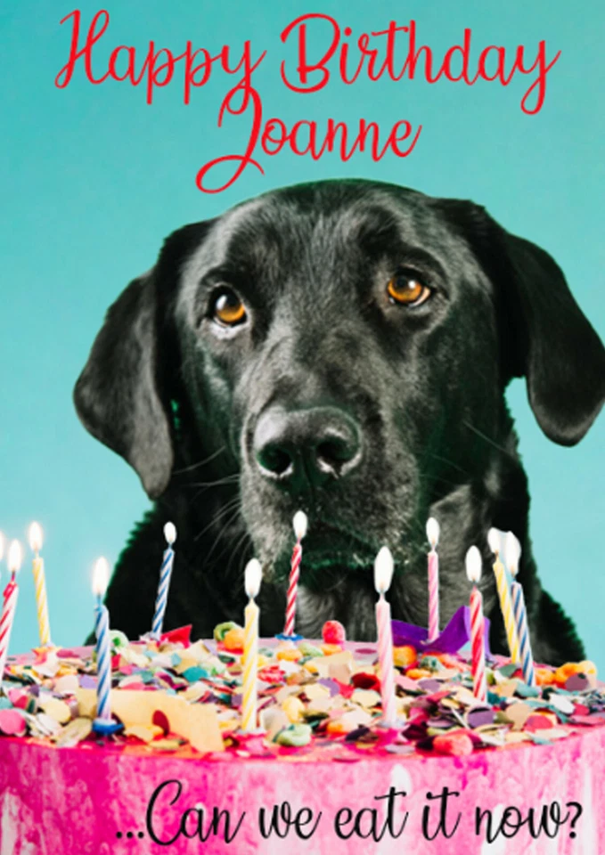 PERSONALPOLLY Personalised Labrador Card Birthday Black Labrador