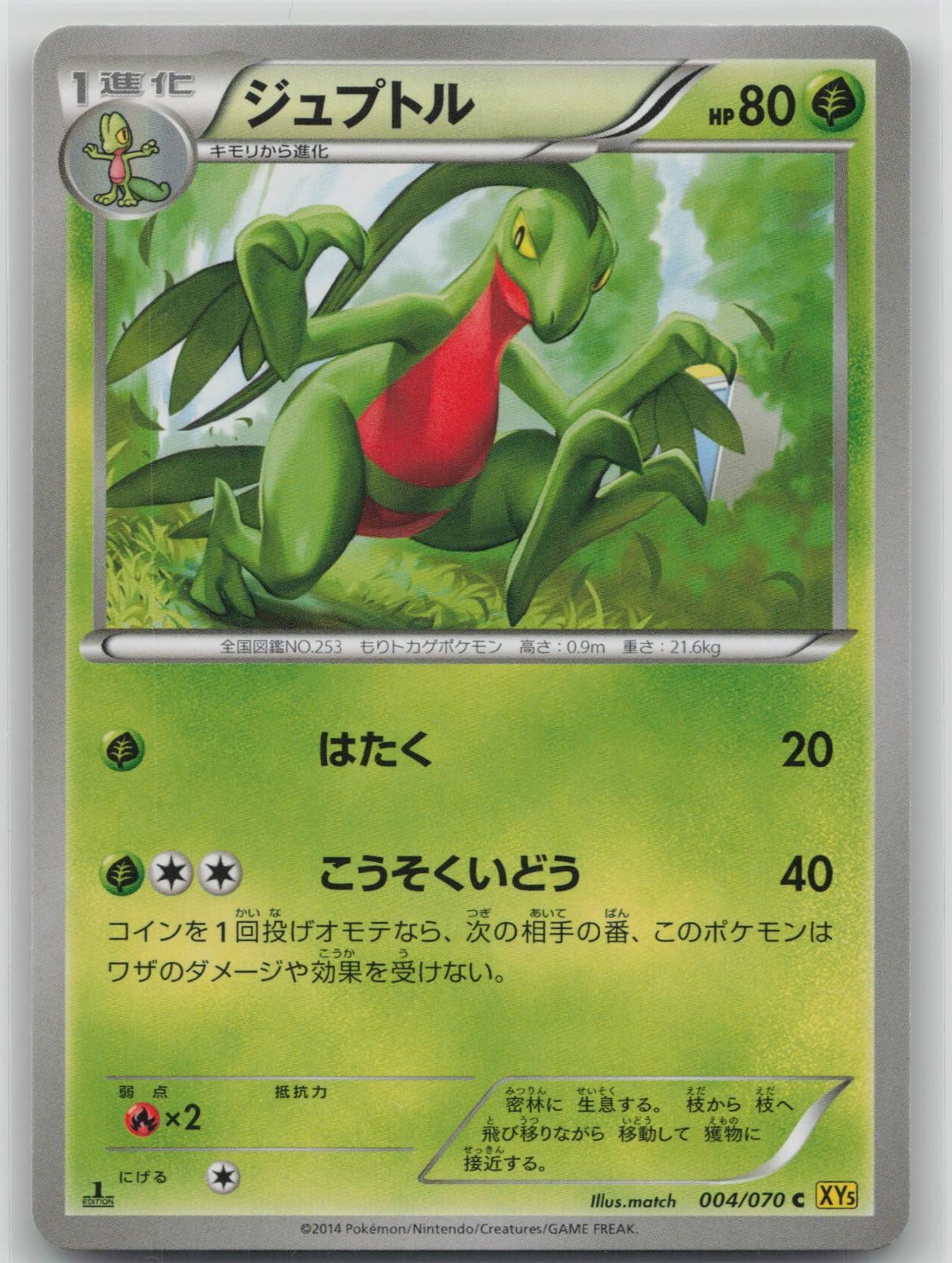 MP Grovyle 004/070 Common Gaia Volcano Pokemon Japanese 2014