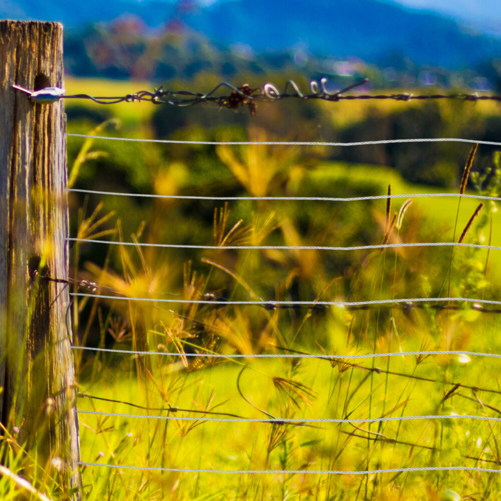 30M Stainless Steel Garden Wire Rope Kit Cable Wire Rope Catenary Wire