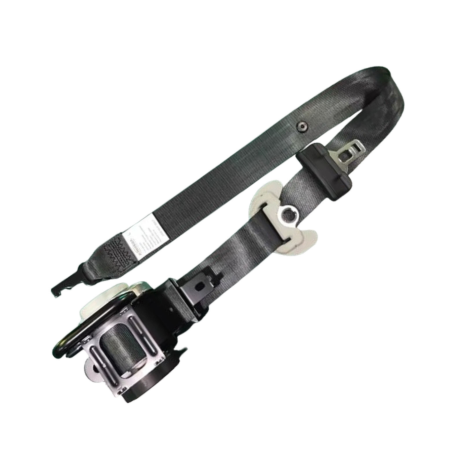 Foto 10 di 13