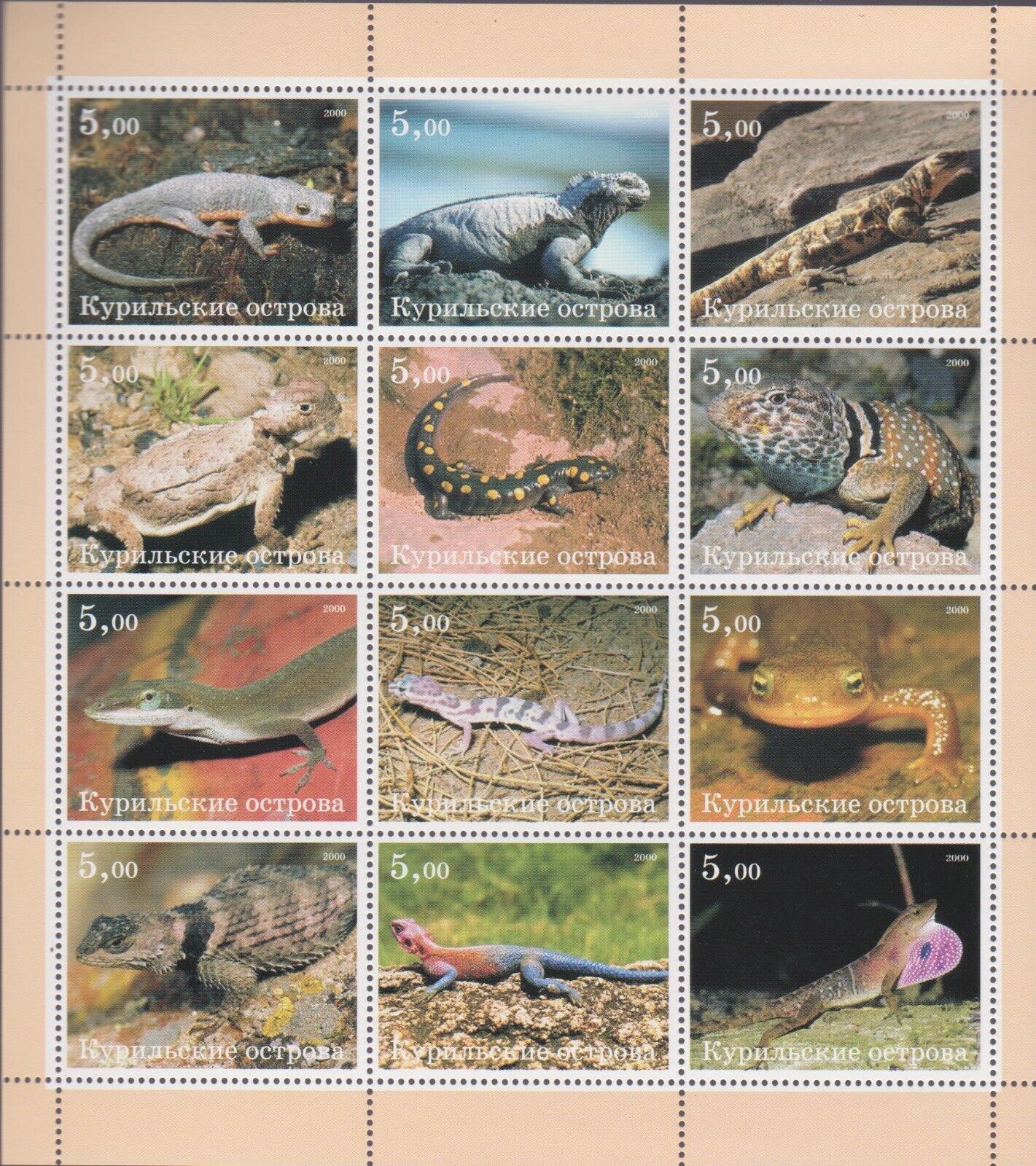 Foto 1 di 1