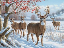 5D Diamond Art Kits for Adults Deer by Number Kits, Diamond Painting Art