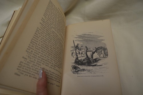WILD WESTERN SCENES BY J. B. JONES 1881 16 ENGRAVINGS - Picture 11 of 13