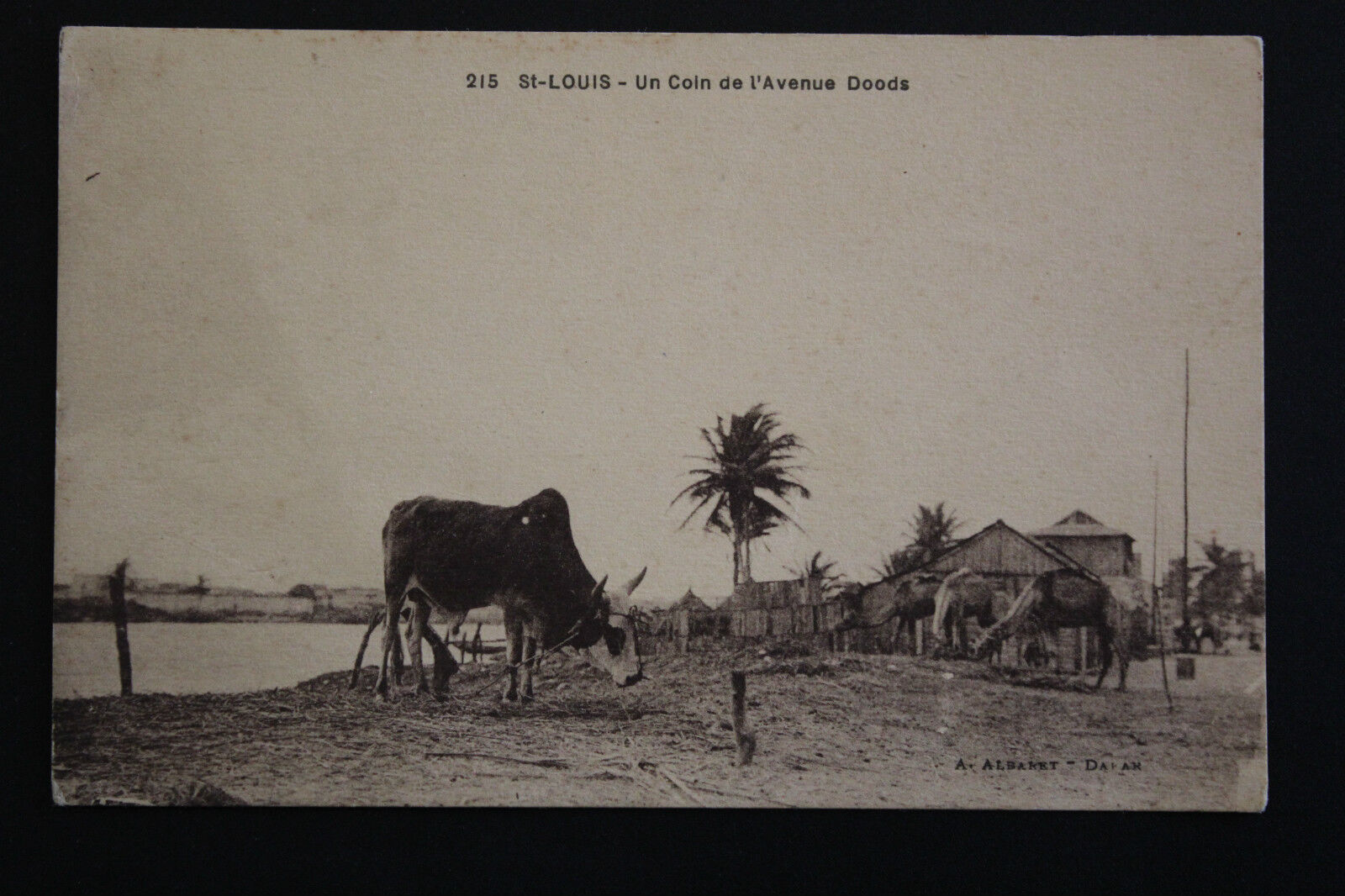 Foto 1 di 1