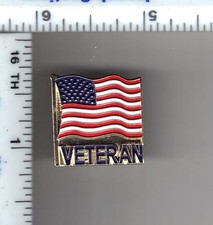 Veteran American Flag Pin