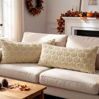 Kissenbezug 40X80 Cm PlüSchküRbis Beige Dekokissen FüR Herbst Halloween Sofa