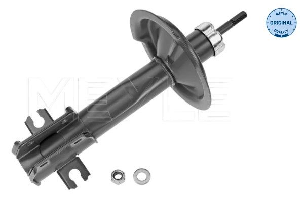 Amortisseur Meyle 226 613 0011 élimine les vibrations Fiat 71713673 pour un châssis stable