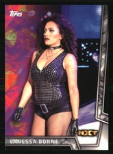 Vanessa Borne 2018 Topps WWE Women's Division #45 WRESTLING Card