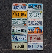 LOT of 12 License Plates 8 States USA License Plate Tag Craft Condition READ
