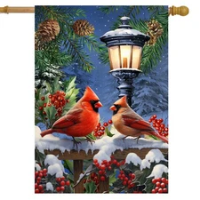Briarwood Lane Winter Glow Cardinals House Flag