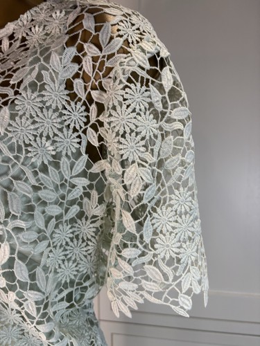 Vestido de novia Phase Eight UK 16 verde menta encaje capas madre novia carreras - Imagen 12 de 24