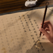 Heart Sutra Hand Copy Buddhist Scripture Beginner Brush Calligraphy Copybook